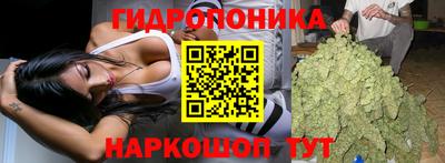 mix Будённовск