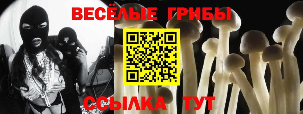 Галлюциногенные грибы GOLDEN TEACHER  Псилоцибиновые грибы Magic Shrooms  где можно купить наркотик  Вход с VPN  Переславль-Залесский 
